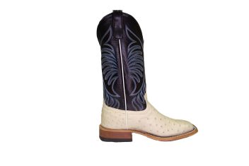 ANDERSON BEAN 361879 FULL QUILL IVORY OSTRICH