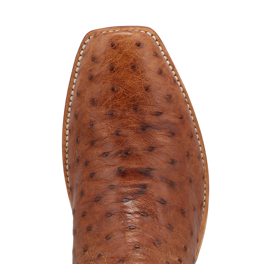 Twisted X MXPL002 Men's Western Reserve Boots  Chestnut Ostrich & Dark Grey, Full-Quill Ostrich