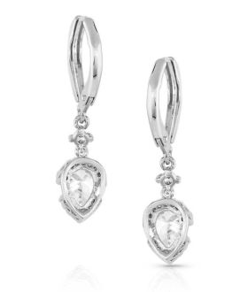 Montana Silversmith Poised Perfection Crystal Earrings ER5323